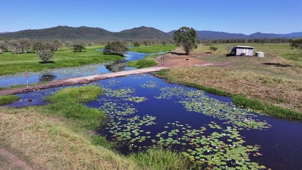 Riverlands Grazing, via Ingham