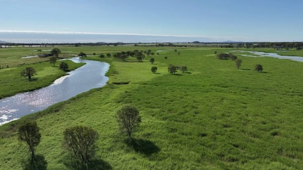 Riverlands Grazing, via Ingham