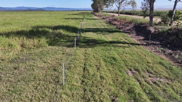 Riverlands Grazing, via Ingham