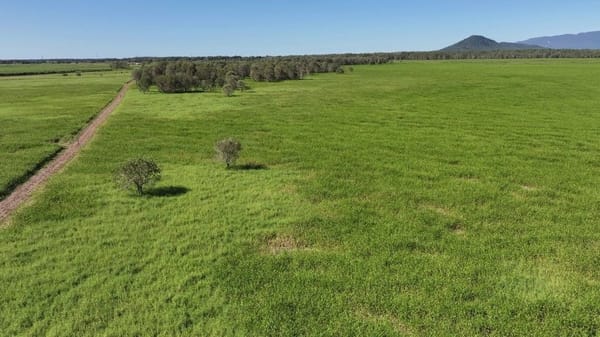 Riverlands Grazing, via Ingham