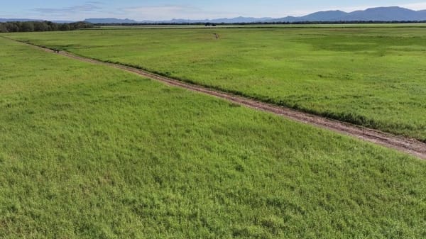 Riverlands Grazing, via Ingham