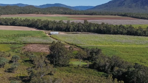 Allendale Road Farm