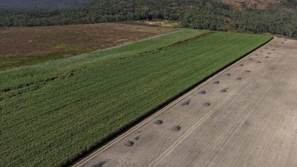 Allendale Road Farm