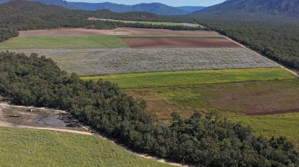 Allendale Road Farm