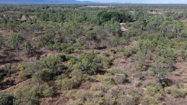 244 Jones Road, Woodstock