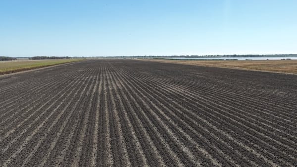 25 Lochinvar Road Farm