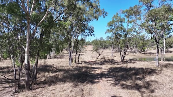 37963 Gregory Development Road, Breddan