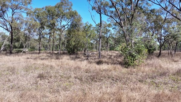 37963 Gregory Development Road, Breddan