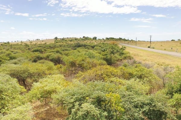 Great Britain Rd, via Charters Towers