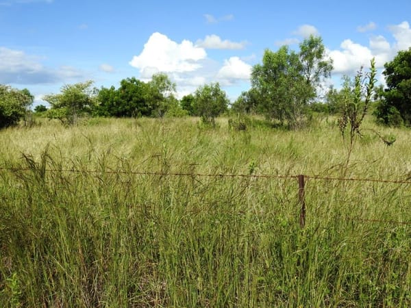 Lot 1, Read Road Toll
