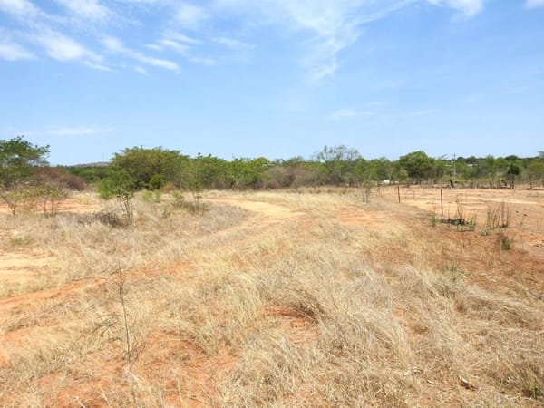56 Bluff Road, Charters Towers