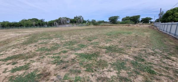 Dundee Lane, Charters Towers
