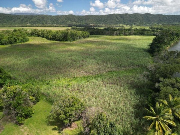 Lower Daintree Aggregation, via Mossman Nth Qld