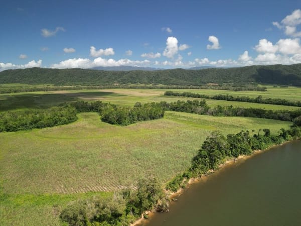 Lower Daintree Aggregation, via Mossman Nth Qld