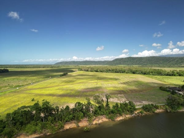 Lower Daintree Aggregation, via Mossman Nth Qld