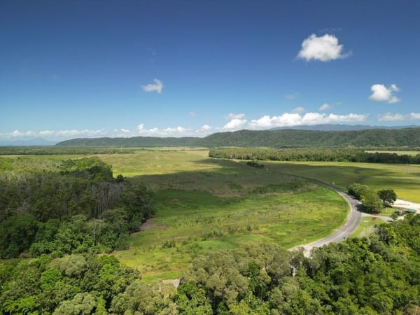 Lower Daintree Aggregation, via Mossman Nth Qld