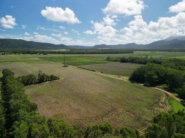 Lower Daintree Aggregation, via Mossman Nth Qld