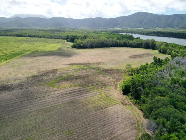 Lower Daintree Aggregation, via Mossman Nth Qld