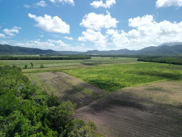 Lower Daintree Aggregation, via Mossman Nth Qld
