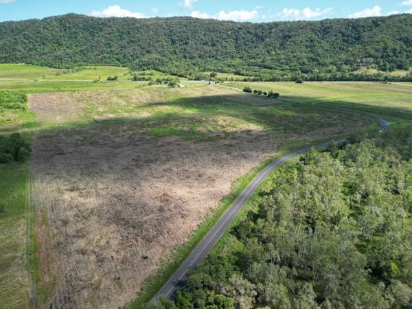Lower Daintree Aggregation, via Mossman Nth Qld