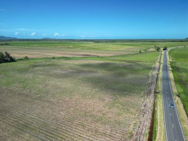 Lower Daintree Aggregation, via Mossman Nth Qld