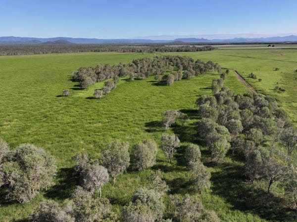 Riverlands Grazing, via Ingham