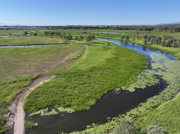 Riverlands Grazing, via Ingham