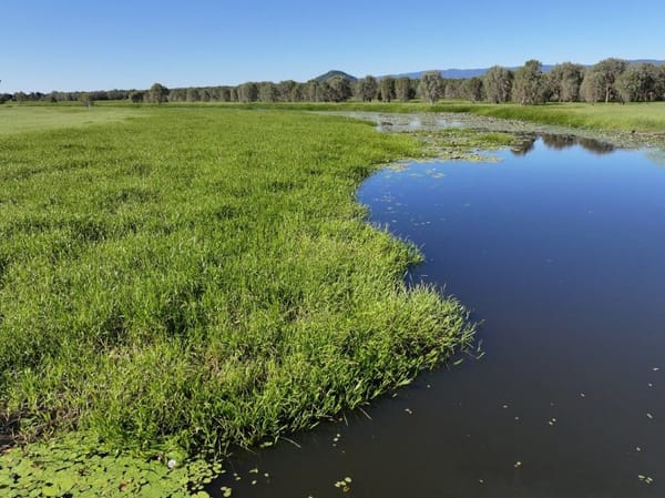 Riverlands Grazing, via Ingham