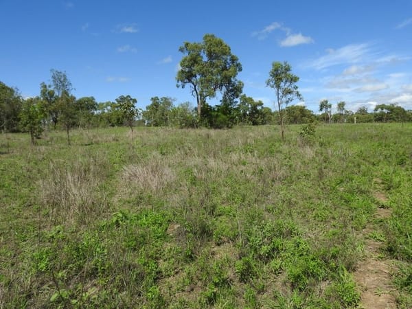Flinders Highway, Breddan