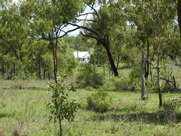 Flinders Highway, Breddan