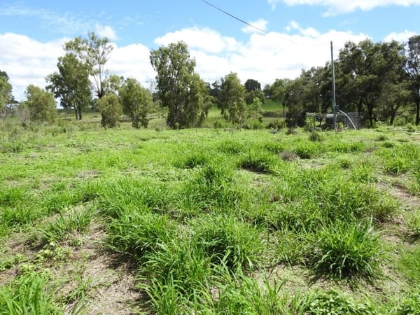 Flinders Highway, Breddan