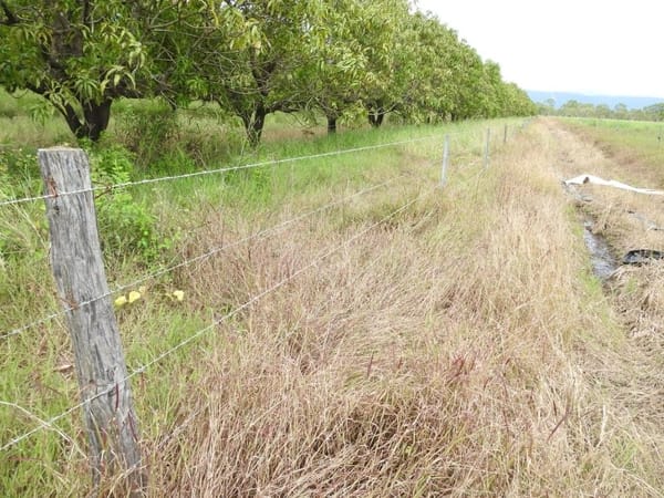 Farming property, Giru