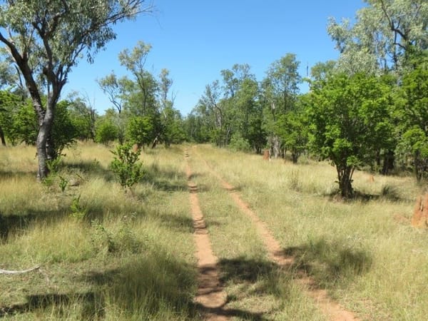 Vanlee Station, Mount Surprise