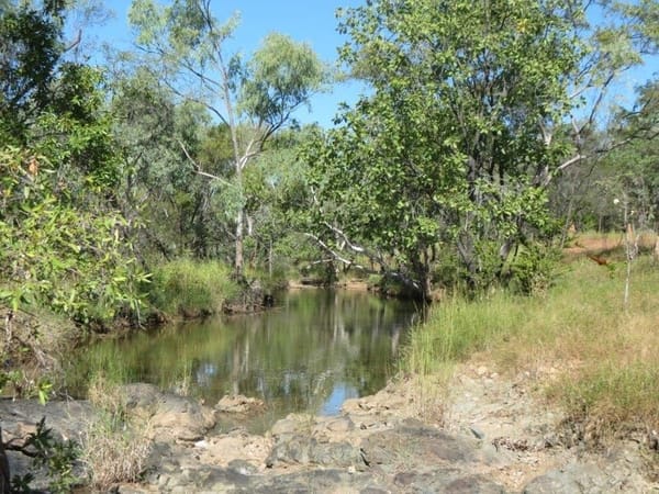 Vanlee Station, Mount Surprise