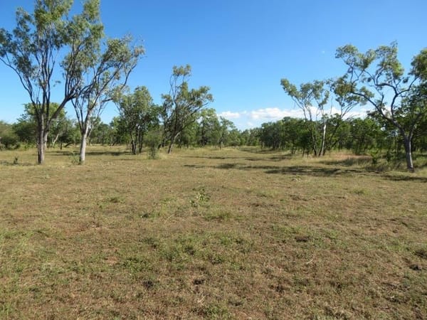 Vanlee Station, Mount Surprise