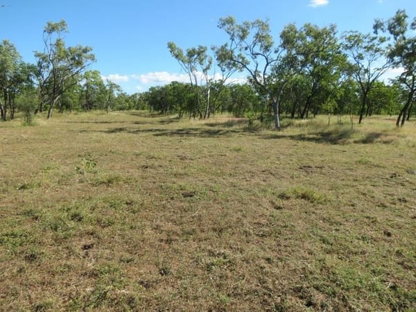 Vanlee Station, Mount Surprise