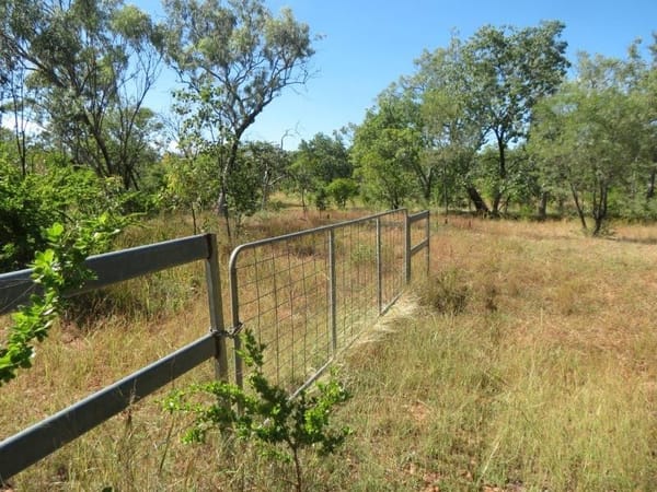 Vanlee Station, Mount Surprise