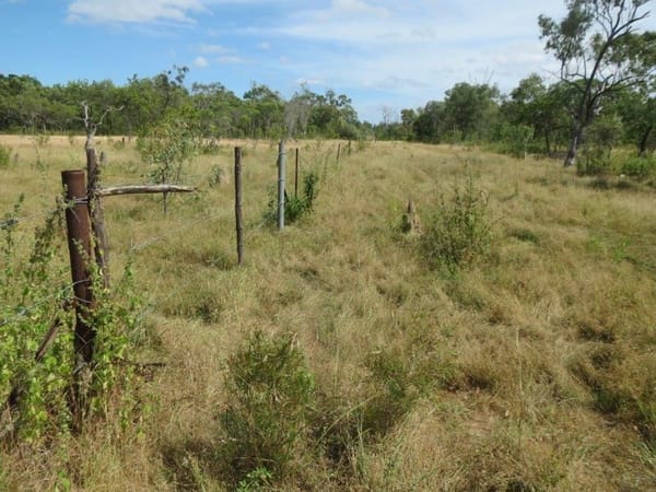 Vanlee Station, Mount Surprise