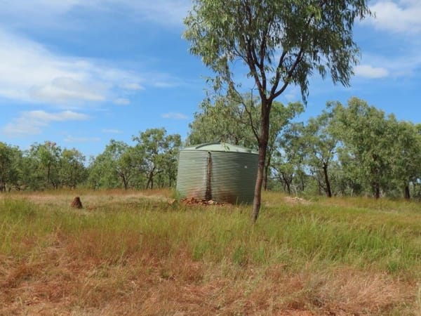 Vanlee Station, Mount Surprise