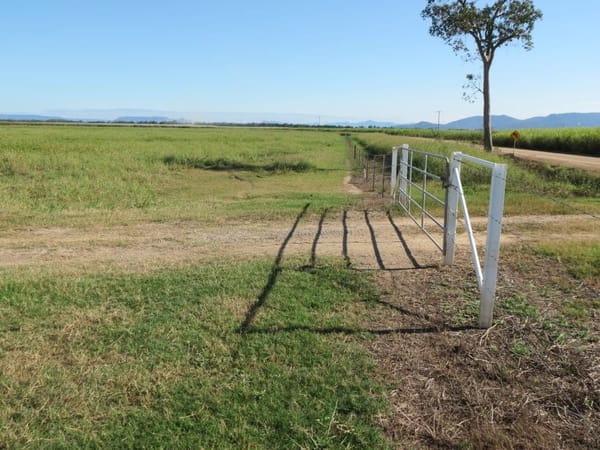 Riverlands Grazing, via Ingham