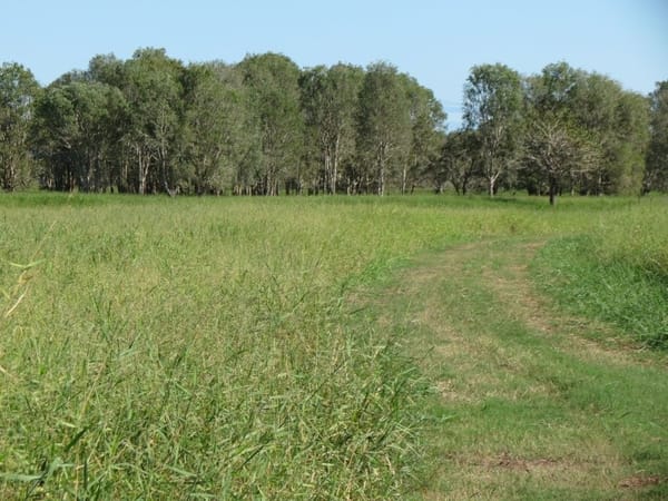Riverlands Grazing, via Ingham