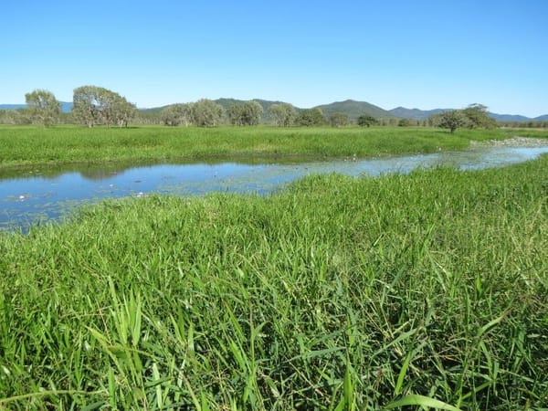 Riverlands Grazing, via Ingham