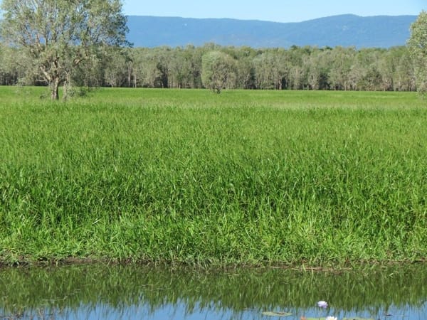 Riverlands Grazing, via Ingham