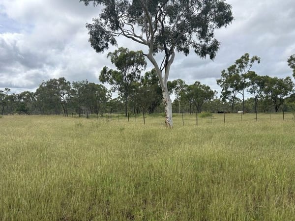 240 Old Dalrymple Road, Breddan