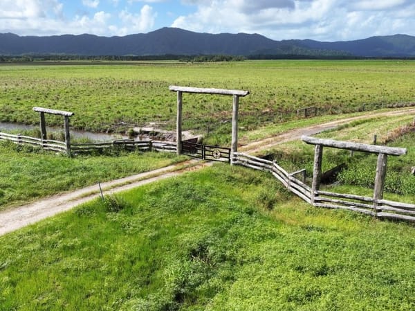Lower Daintree Aggregation, via Mossman Nth Qld