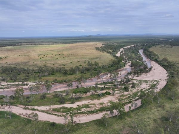 Cape River, Pentland