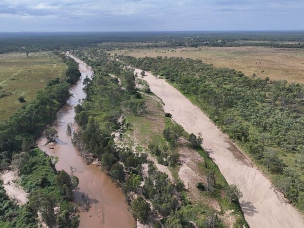 Cape River, Pentland