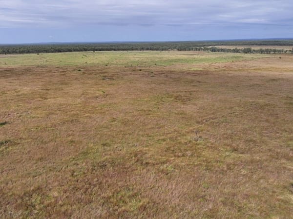 Cape River, Pentland