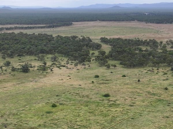 Cape River, Pentland