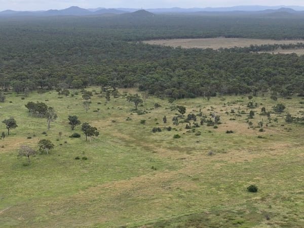 Cape River, Pentland